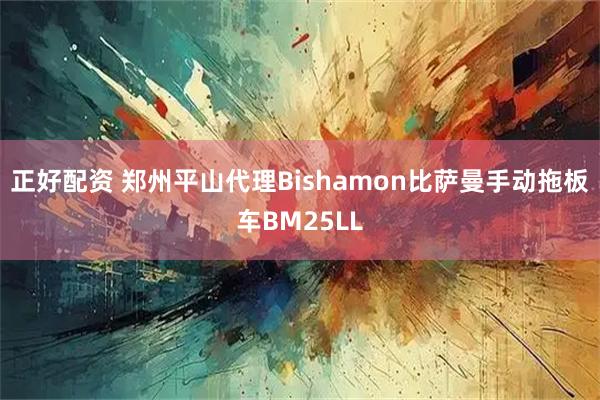 正好配资 郑州平山代理Bishamon比萨曼手动拖板车BM25LL