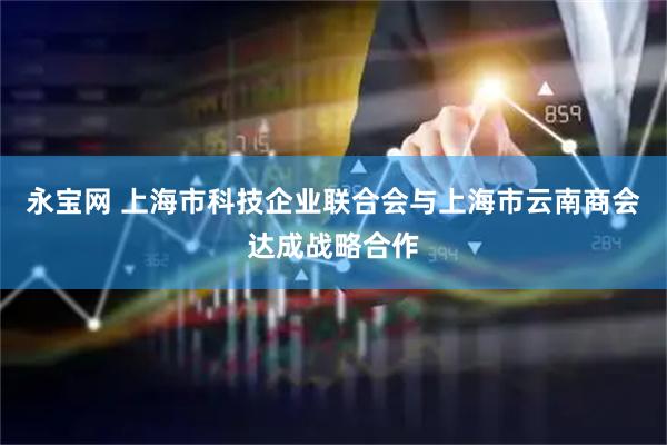 永宝网 上海市科技企业联合会与上海市云南商会达成战略合作