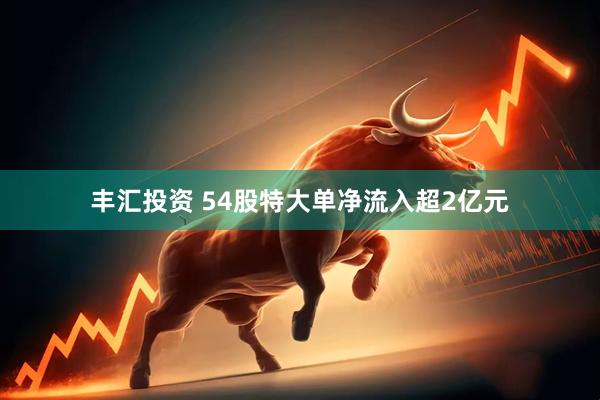 丰汇投资 54股特大单净流入超2亿元
