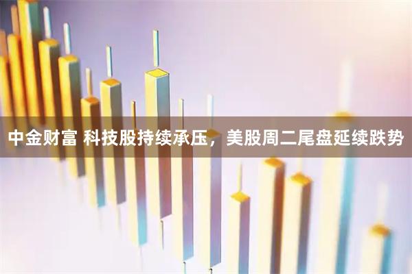 中金财富 科技股持续承压，美股周二尾盘延续跌势