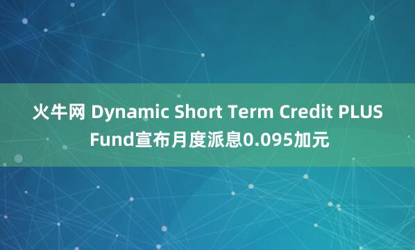 火牛网 Dynamic Short Term Credit PLUS Fund宣布月度派息0.095加元