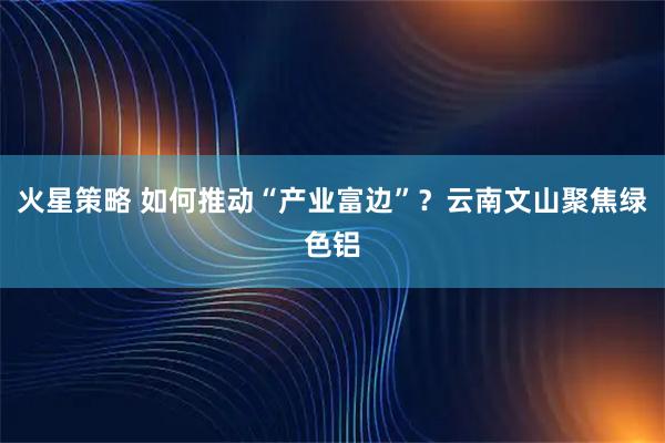 火星策略 如何推动“产业富边”？云南文山聚焦绿色铝