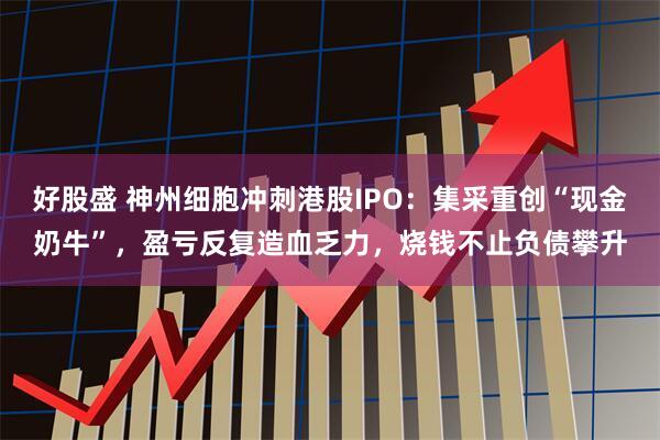 好股盛 神州细胞冲刺港股IPO：集采重创“现金奶牛”，盈亏反复造血乏力，烧钱不止负债攀升